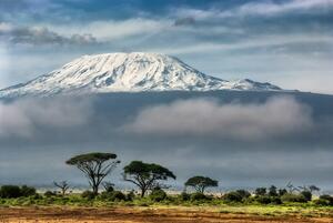Kilimanjaro National Park